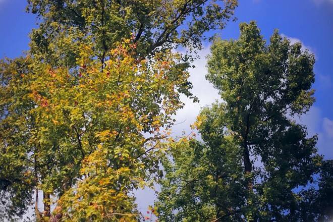 15781682 1154795717974250 824877753295237063 n(1)