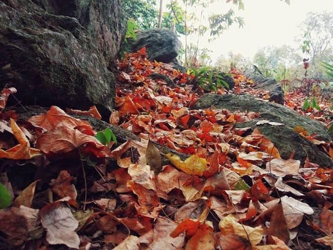 15781779 1154795761307579 2211276630390285961 n