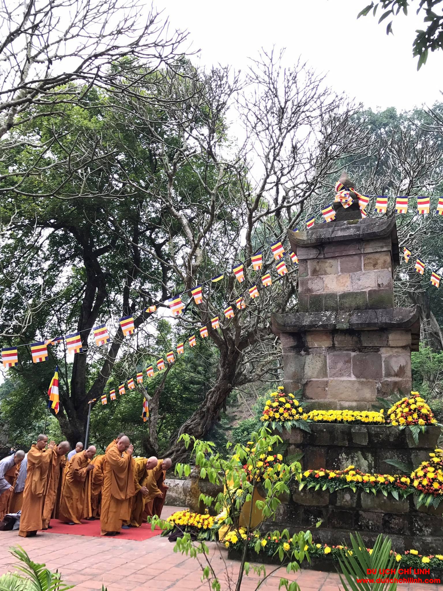 17632459 1244273209026500 4076045235978072692 o