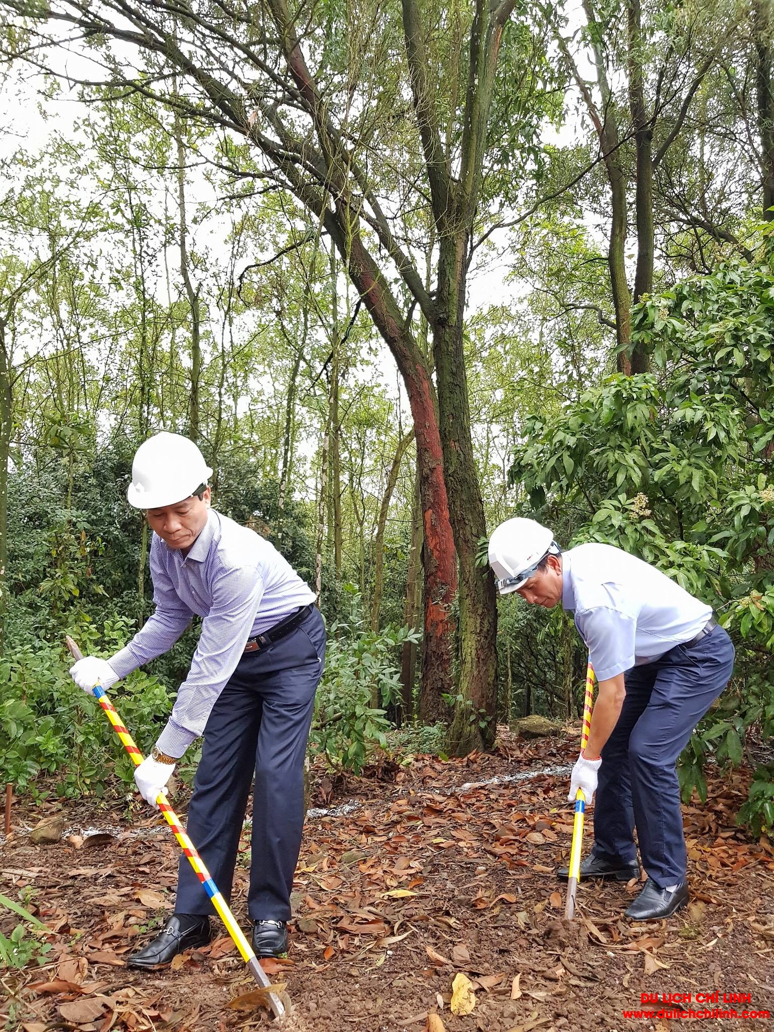 30442710 1613250118795472 5681870621663821824 o 1