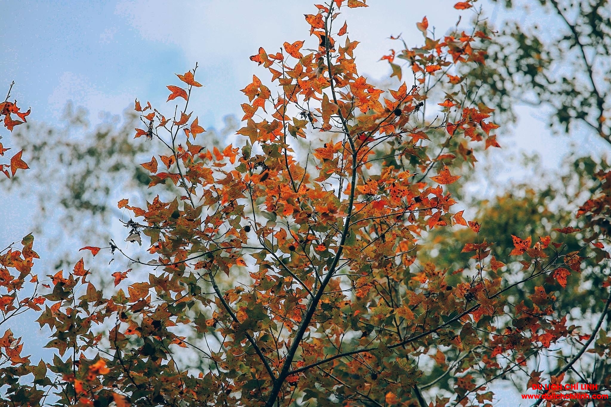 z4203791974419 a8beb476c815c78ff89e9ae10cbdee38